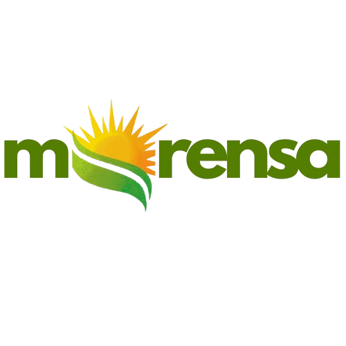 MorensaExport